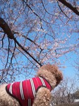 DSC_0089.jpg